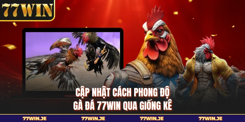 Cập nhật cách phong độ gà đá 77WIN qua giống kê