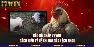 Kèo Gà Chấp 77WIN - Cách Hiểu Tỷ Lệ Khi Hai Cửa Lệch Nhau